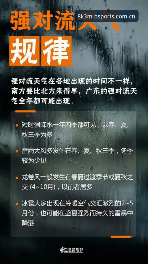 B体育平台使用指南：新手快速上手指南与安全经验分享